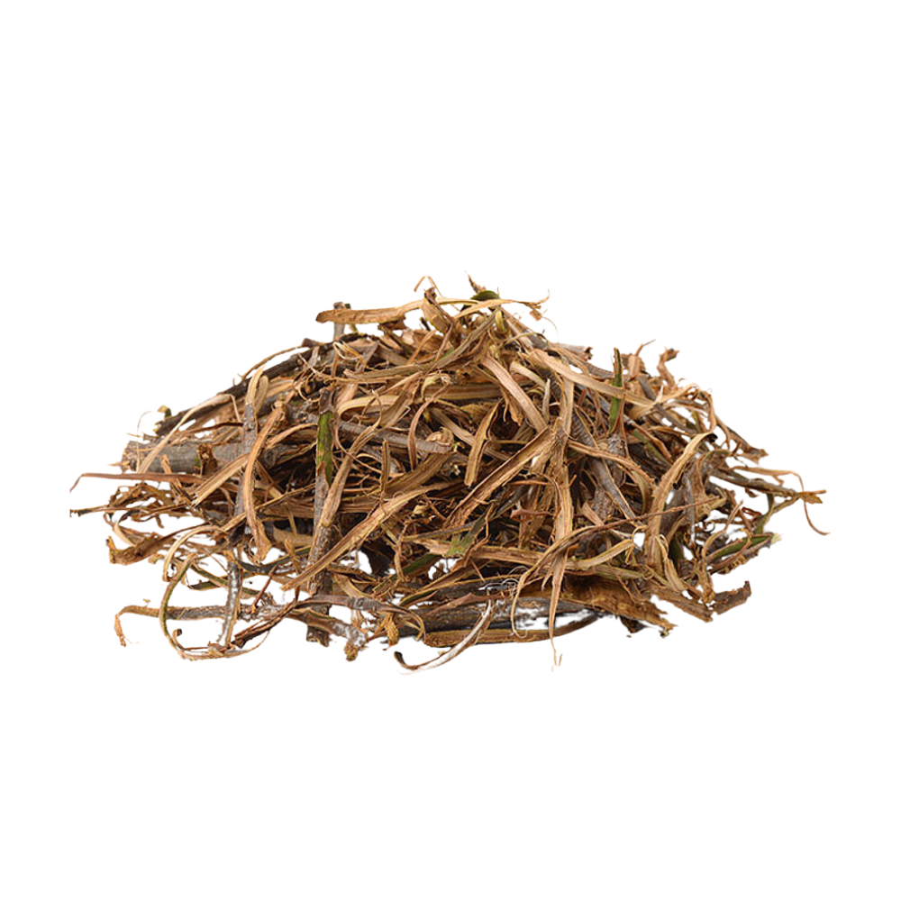 Saule – Écorce coupée