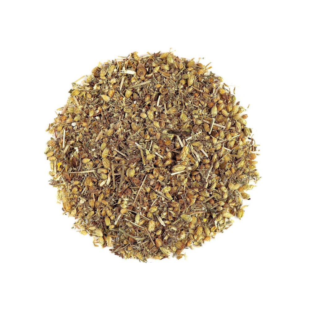 Achillée Millefeuille – Sommité Fleurie