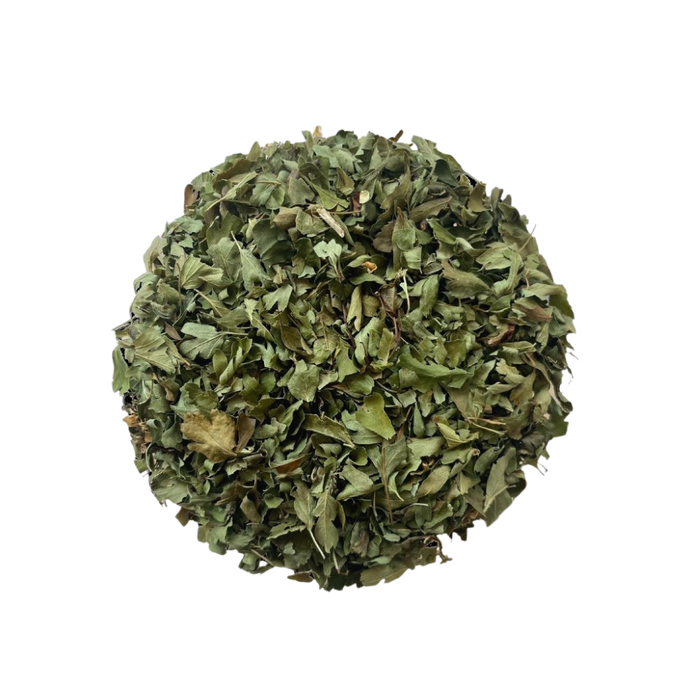 Aubépine - Feuille coupée