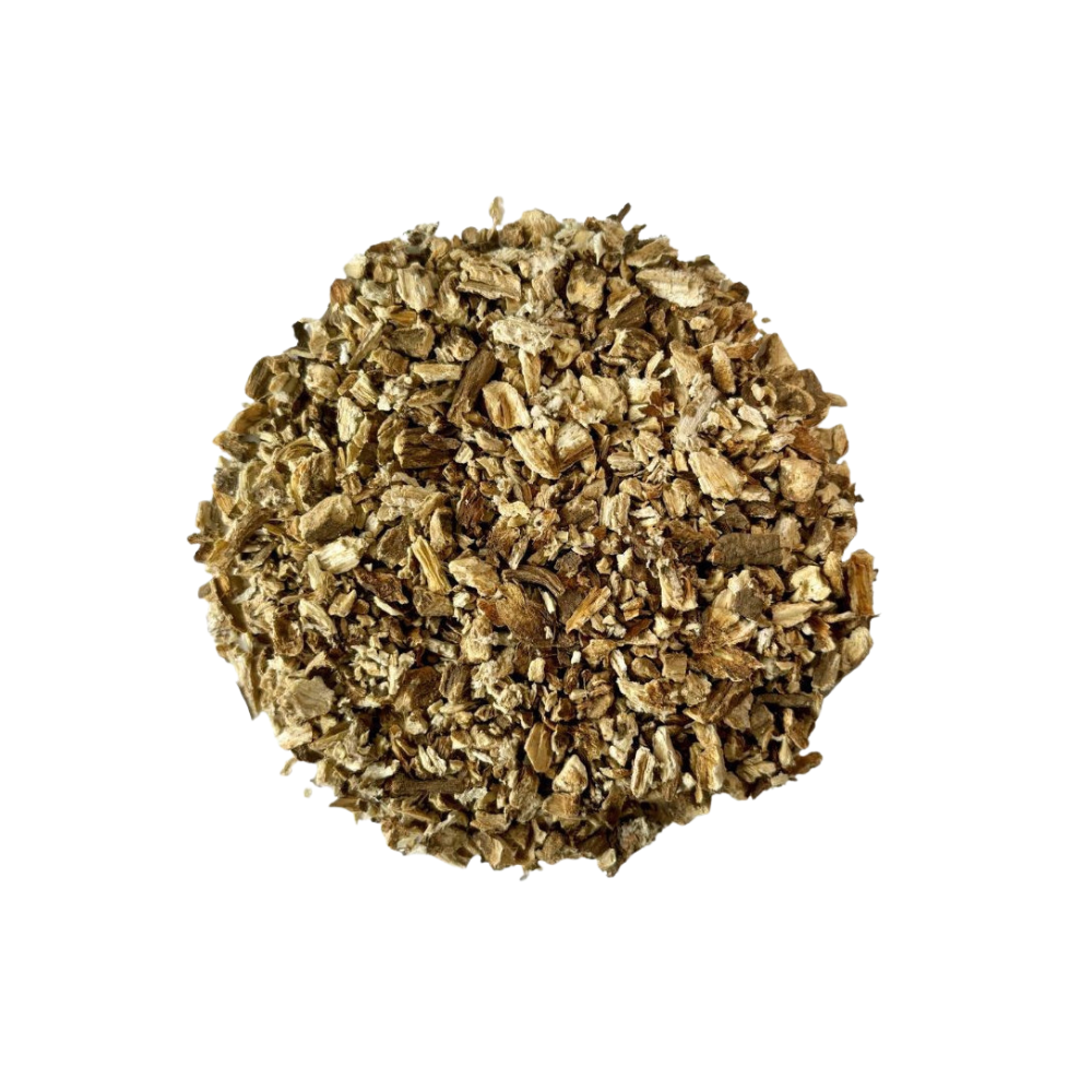 Bardane – Racine coupée