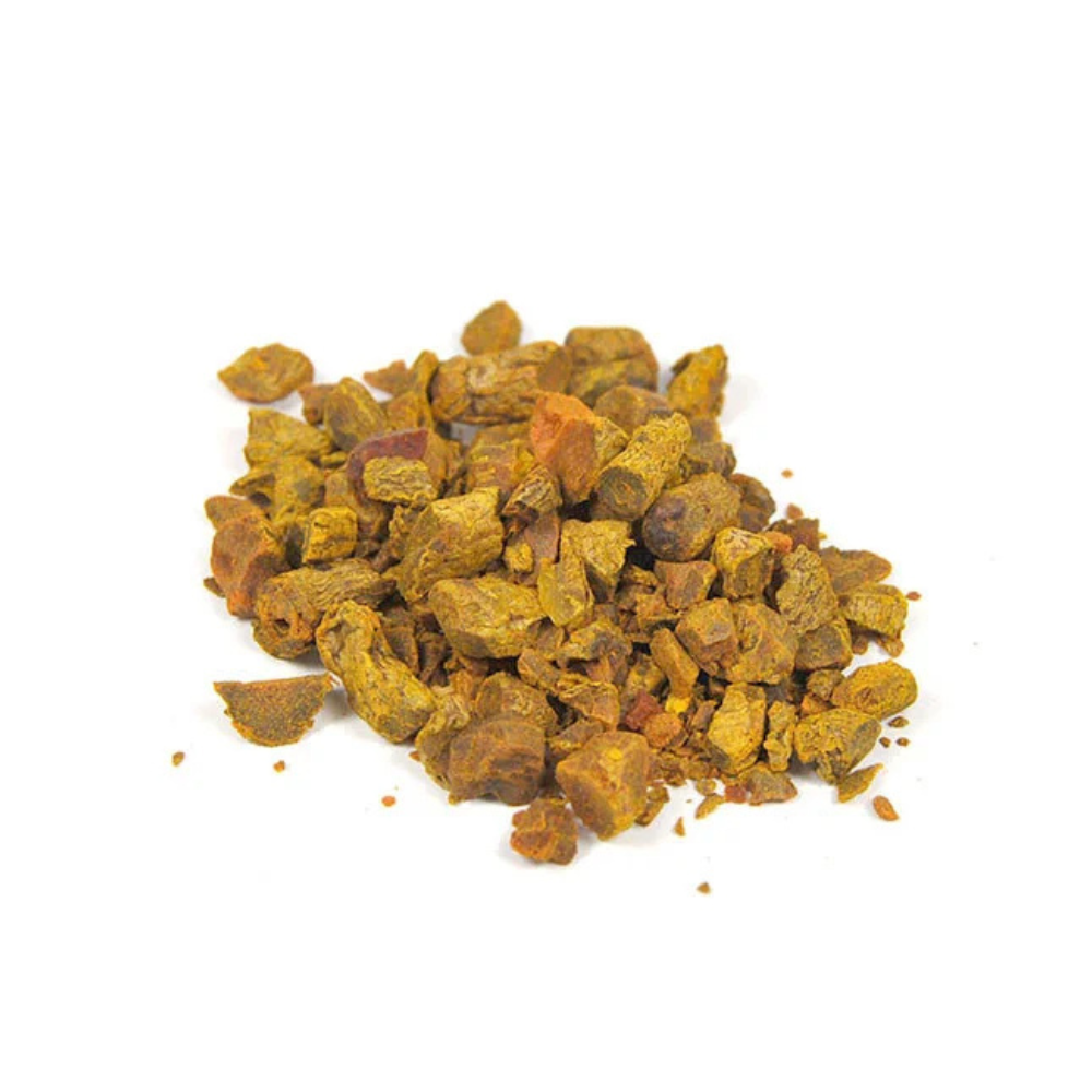 Curcuma – Racine coupée