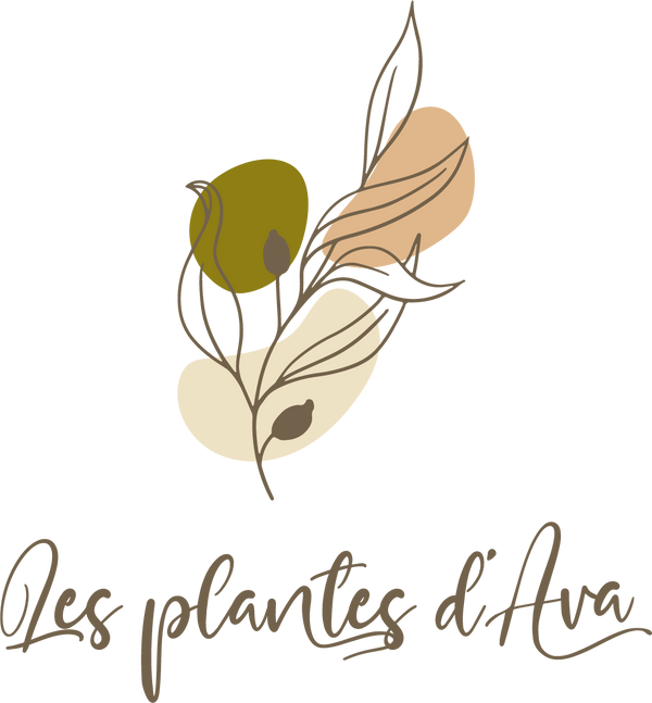 Les Plantes d'Ava