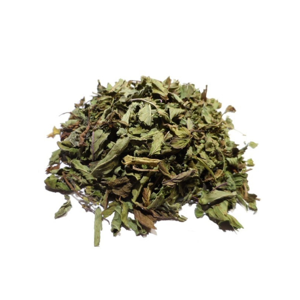 Menthe Poivrée – Feuille coupée