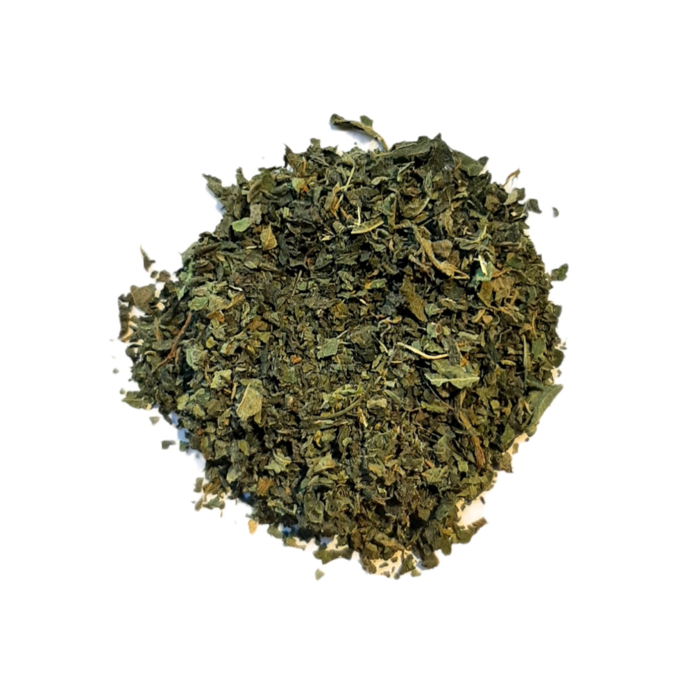 Ortie Piquante – Feuille coupée