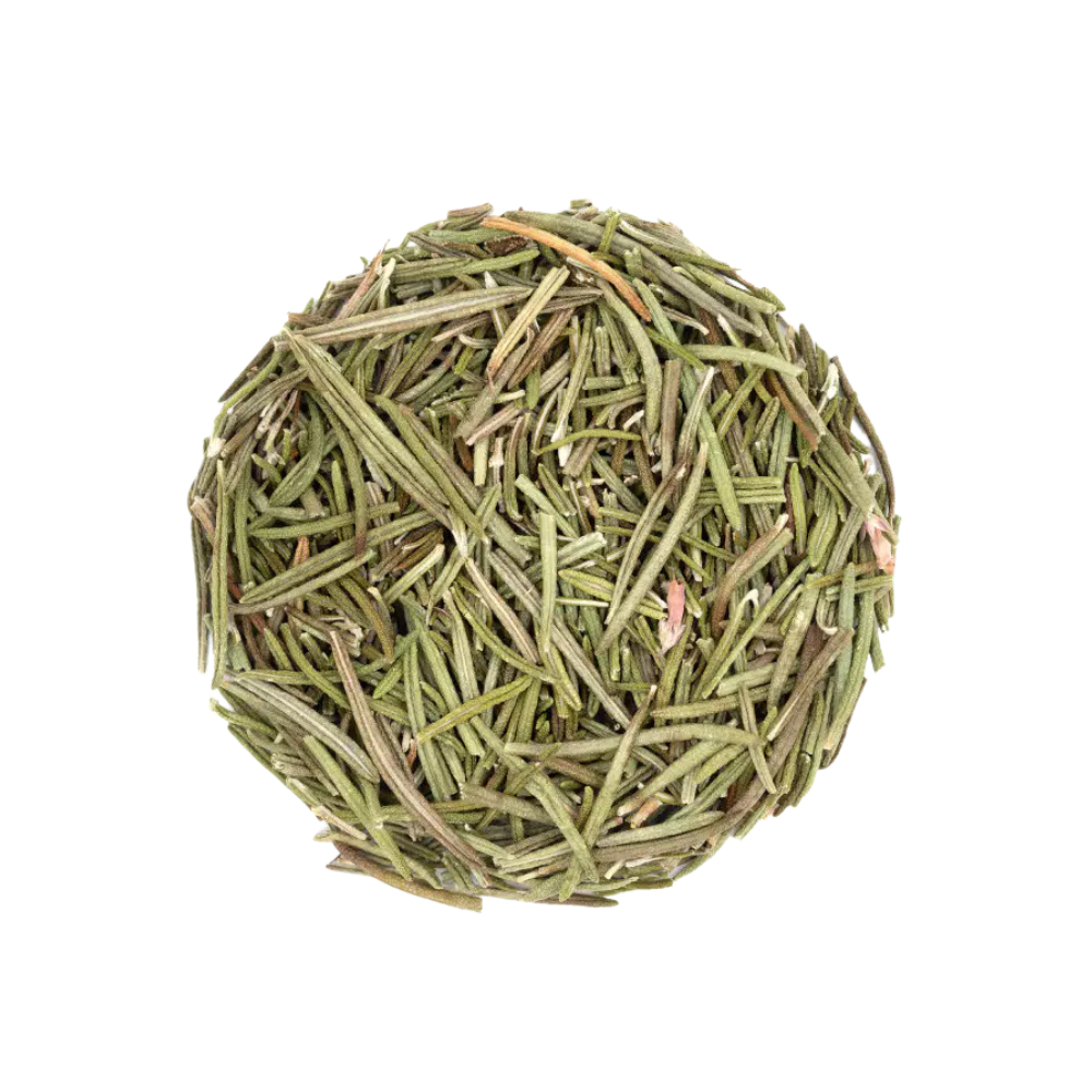 Romarin – Feuille coupée