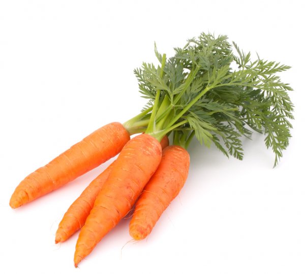 depositphotos_19439461-stock-photo-carrot-vegetable-with-leaves