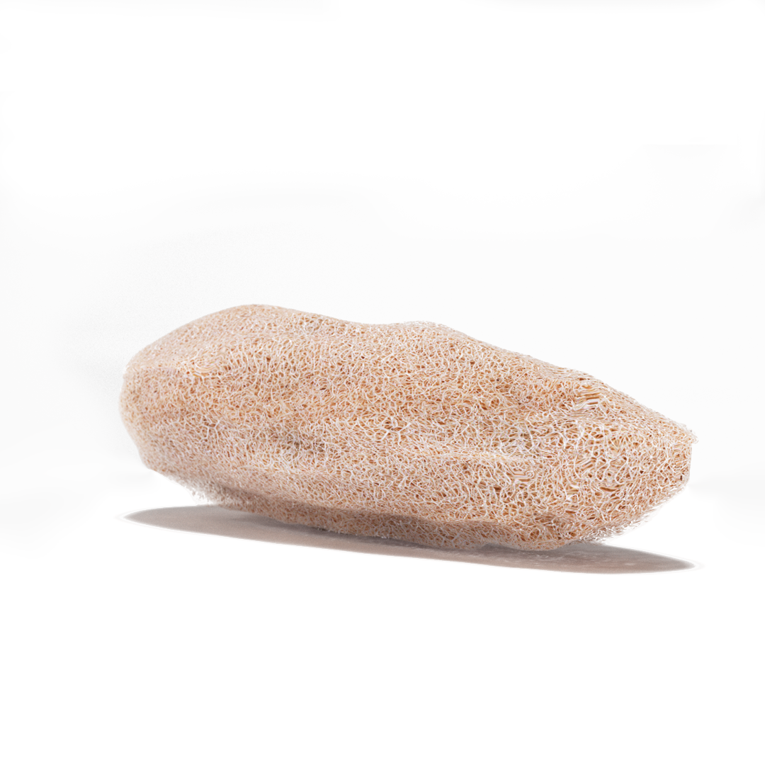 loofah-eponge