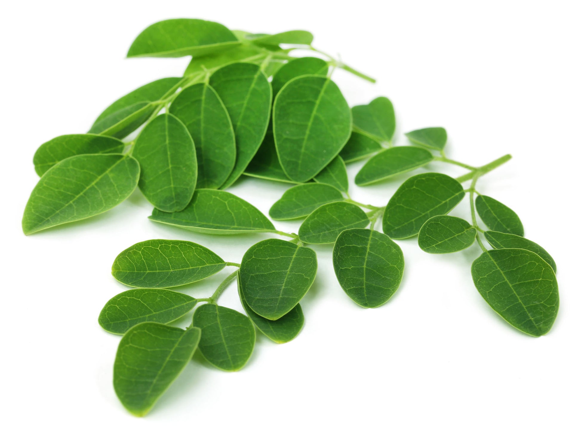 Moringa leaves